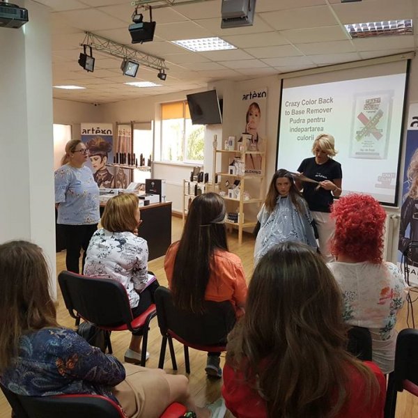 SEMINAR CULOARE ARTEGO BUCURESTI 12.09.2018 1